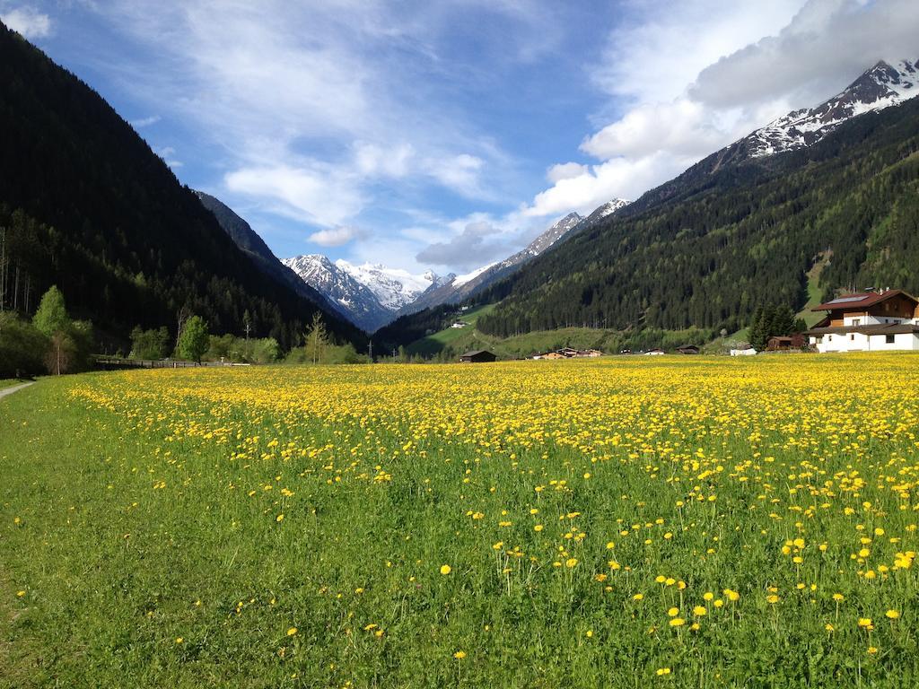 Pension Klampferer Neustift im Stubaital Zimmer foto